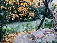 -汇龙潭