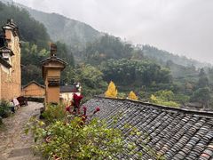-杨家堂村