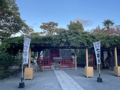 -鹤冈八幡宫