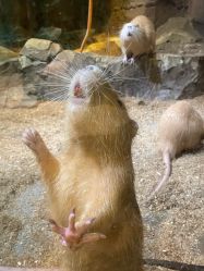 -酷嗒动物文化乐园(cutezoo西溪乐天城店)