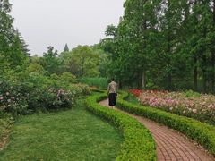 -昆山城市生态森林公园