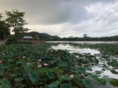 -顺峰山公园