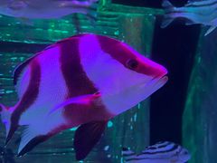 -沈阳海洋探索中心