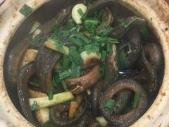 生焗黄鳝煲-台山美食一绝阿四台山黄鳝饭(阿四创作店)