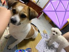 -二斗栗子(西湖道店)