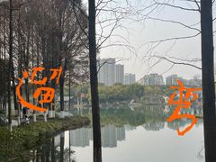 -新洲生态园