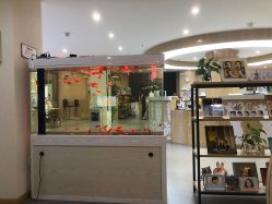 点击看大图 -芳妮豆丁家庭影像馆(宝安店)