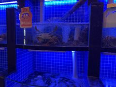 -七欣天香辣蟹火锅(闵行浦江欢乐颂店)