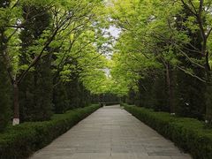 -大槐树寻根祭祖园