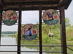 -溱湖国家湿地公园