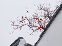 -北寺塔