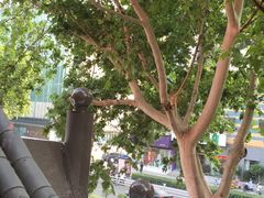 景观位-佬土鹅肠火锅(解放路店)