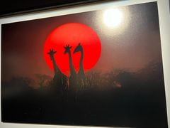 -罗红摄影艺术馆