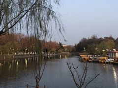 -泰州凤城河风景区-泰山公园