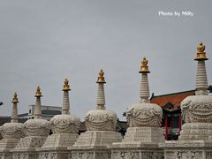 -大召无量寺