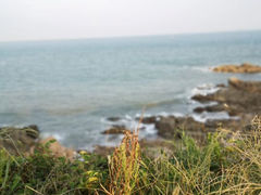 -燕儿岛山公园