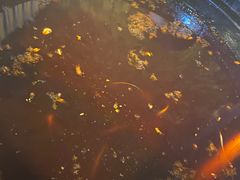 -金海椒罐罐鲢鱼(东方桂苑店)