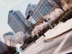 -青岛海尔洲际酒店