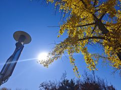 -大兴滨河森林公园