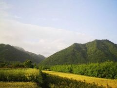 -秦岭风景区