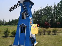 -上海长兴岛郊野公园