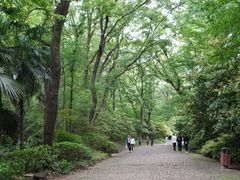 -灵谷景区