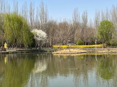 -将府公园