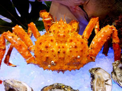 android_upload_pic-绮梦西湖·云端餐厅(歌德店)