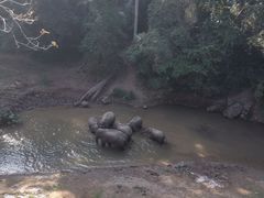-野象谷景区