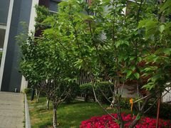-锡师附小学(学前街校区)