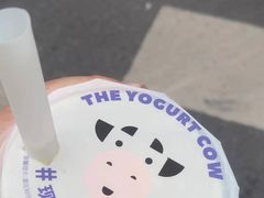 -一只酸奶牛(春熙路店)