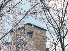 -堤角公园