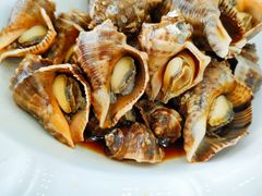 捞汁海螺-四海鲜渔家菜(黄金海岸店)