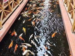 -侠成水上农庄(工业大道店)