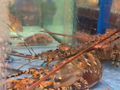 -阿伟海鲜楼·福建菜(延寿店)