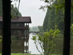 -黄海国家森林公园