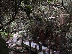 -阳台山森林公园