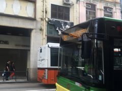 -义顺牛奶公司(板樟堂店)