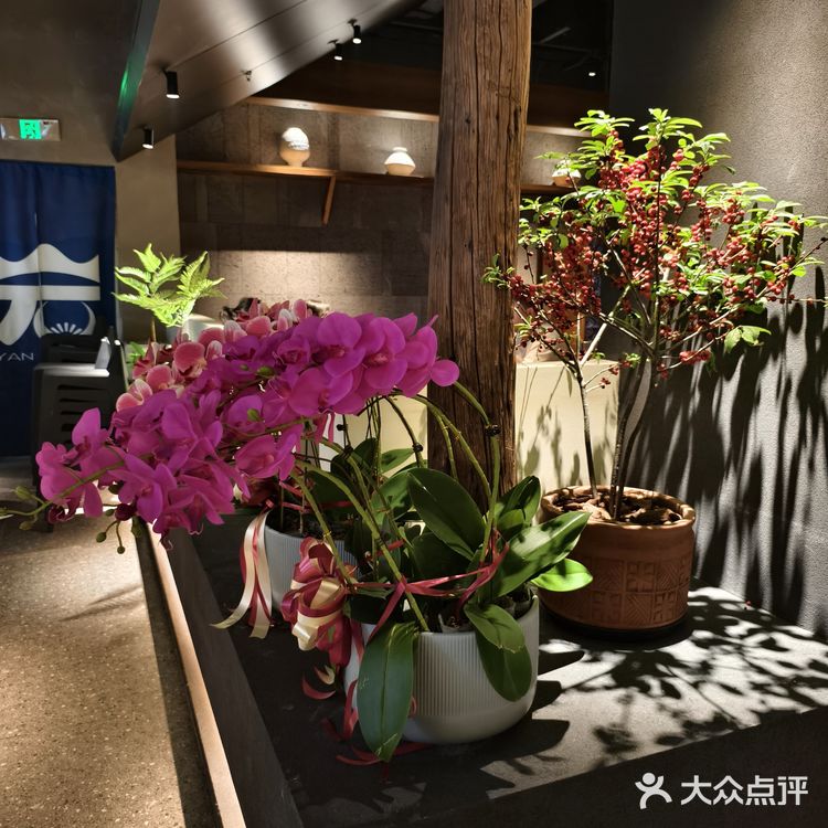 🉐到贵阳朋友认证的地道酸汤火锅🍲