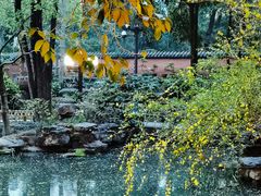 -成都武侯祠博物馆