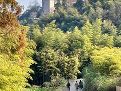-莫干山风景区