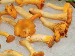 -芸山季·云南野生菌火锅(人民广场来福士店)