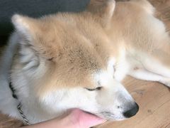 -YCHL Studios健身工作室(市二宫店)