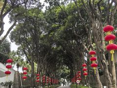 -厦门悦华酒店