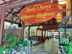 -卷心菜和避孕套餐厅(Pattaya)