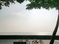 -深圳湾公园(南山区)