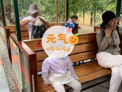 -西青郊野公园