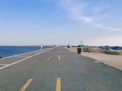 -奉贤海滩