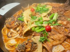 -老板恋上鱼(高新万达店)