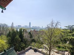 -济南大明湖景区